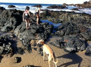 Vogue 1236: beach test drive Vogue 1236: beach test drive