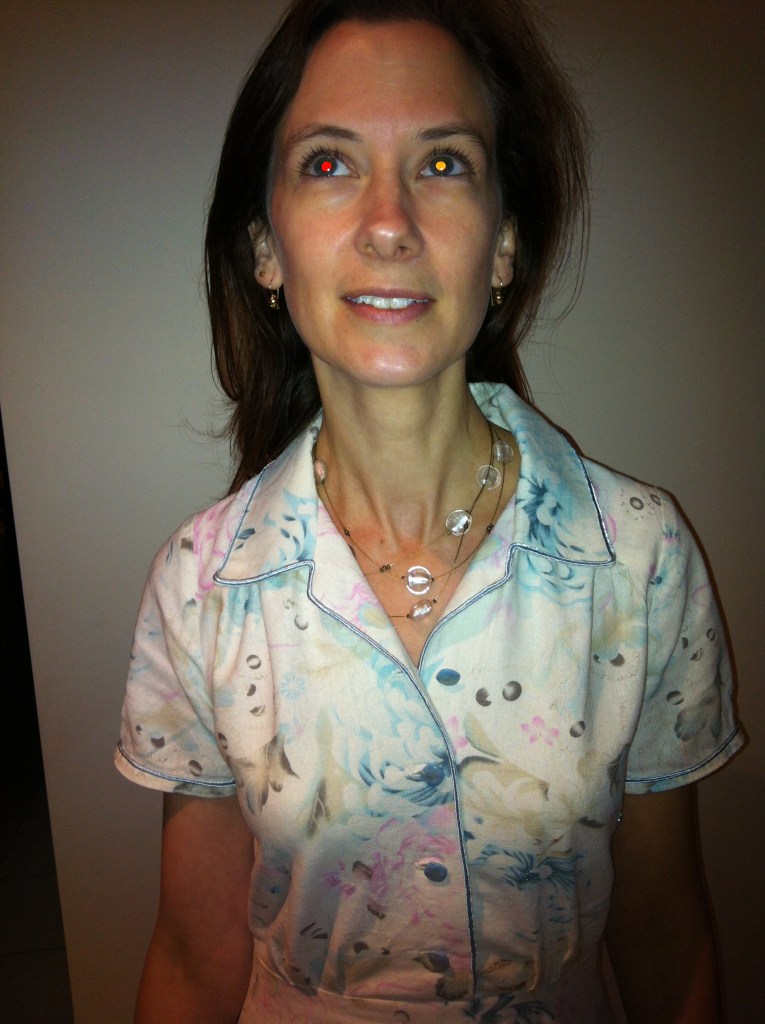 Simplicity 1880 shirt dress front