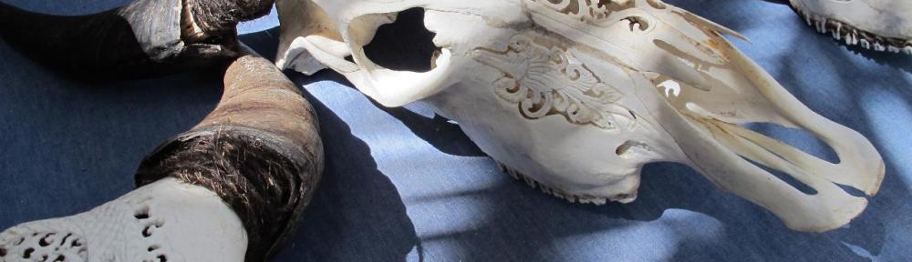 Carved cattle skulls - just what every home needs