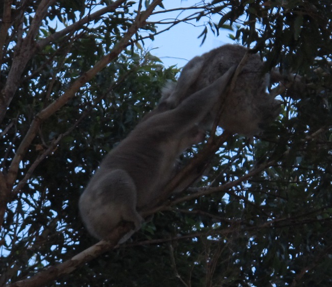 Alright, not into gum tips? Howsabout a kiss then love?