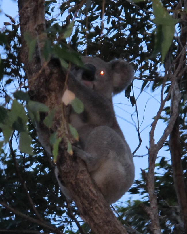 Yeah, she doesn't know what she's missing out on...