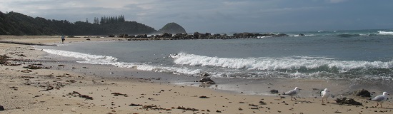 Shelly Beach, Port Macquarie - pretty even when it's overcast