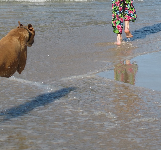 Banjo hot on my heels...