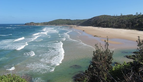 Photos taken at the northern headland of this gorgeous beach - Shelly. One of my favourite places and views in Port Macquarie.