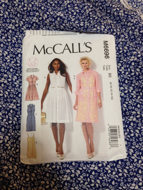McCalls 6696 - the pattern