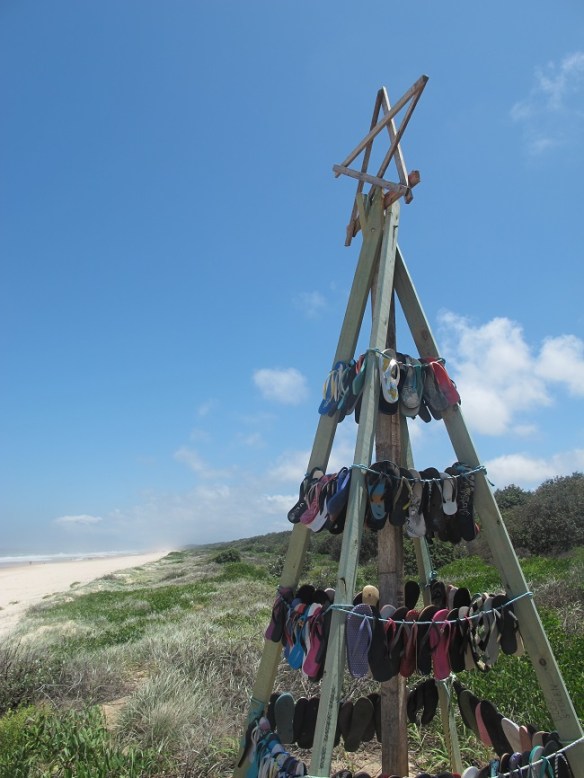 Lighthouse Beach Thong Tree