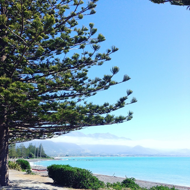 Kaikoura, New Zealand