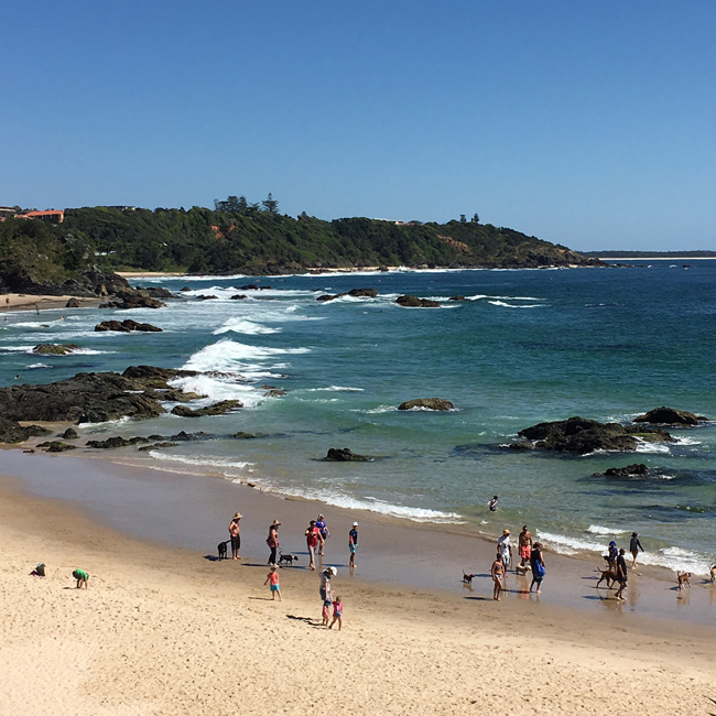 One of our many lovely 'town' beaches... and some winter days it is warm enough to be barefoot