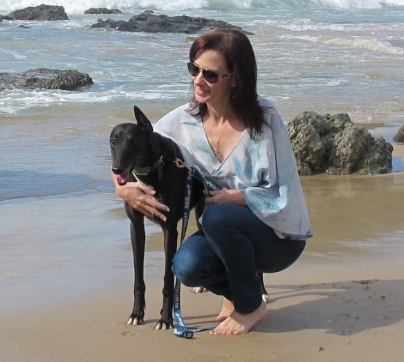 Our gorgeous new/old dog - Jody, greyhound