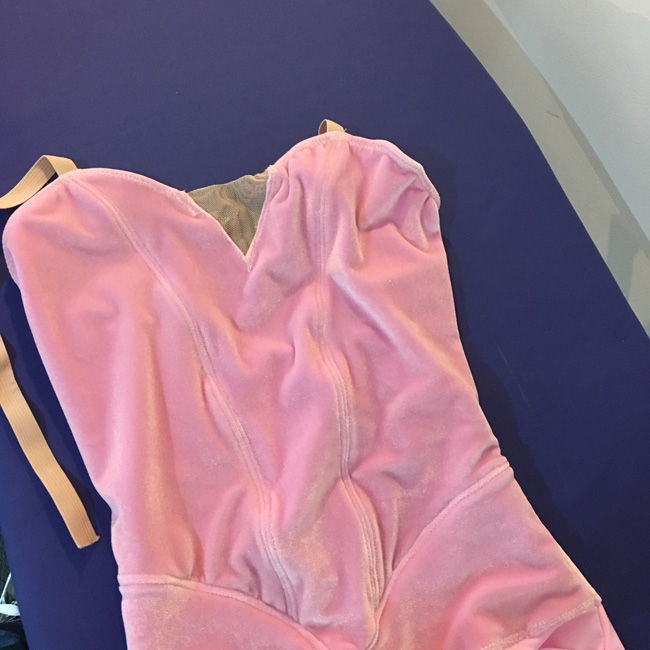 The tutu leotard - minus the plate
