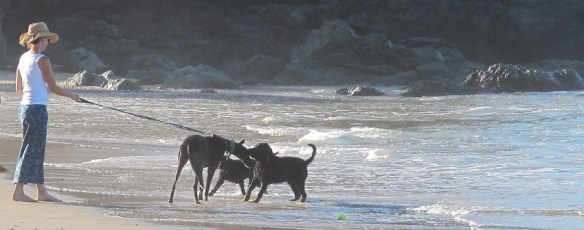 Megan Nielsen Flint Pants in action