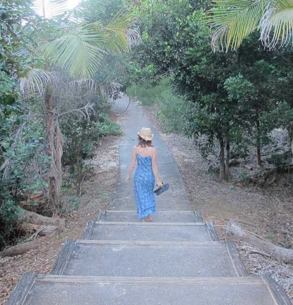 Sadie on the way to the beach